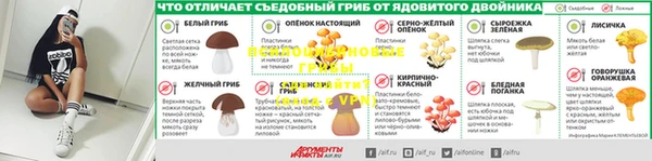 ECSTASY Няндома