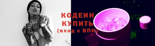 ECSTASY Няндома