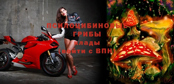 ECSTASY Няндома