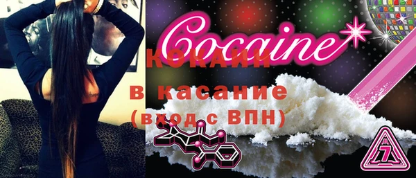 шишки Тутаев
