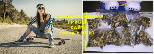 спайс Нягань
