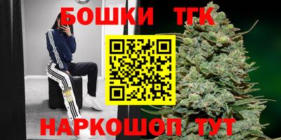 spice Дубна