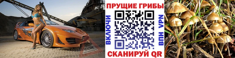 Галлюциногенные грибы Psilocybe  купить закладку  Омск 