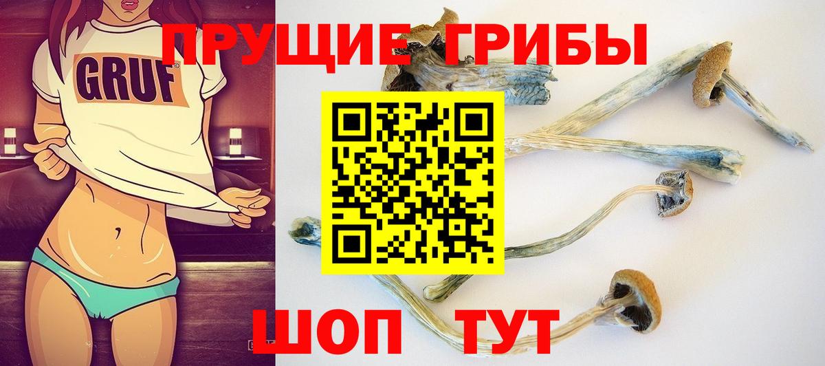 Псилоцибиновые грибы мухоморы Омск