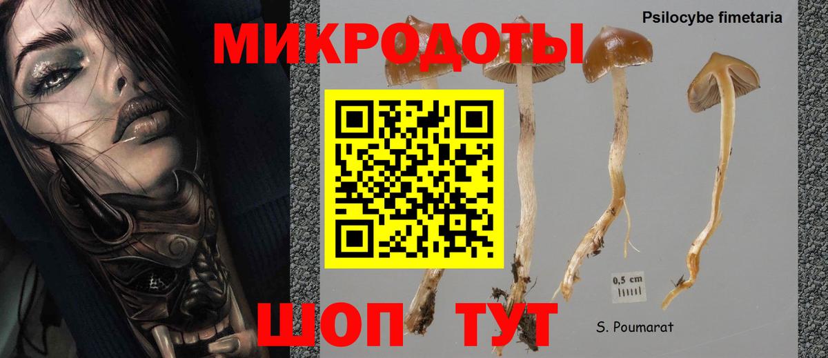 Псилоцибиновые грибы Psilocybe  Вход с VPN  Галлюциногенные грибы Cubensis  Омск 